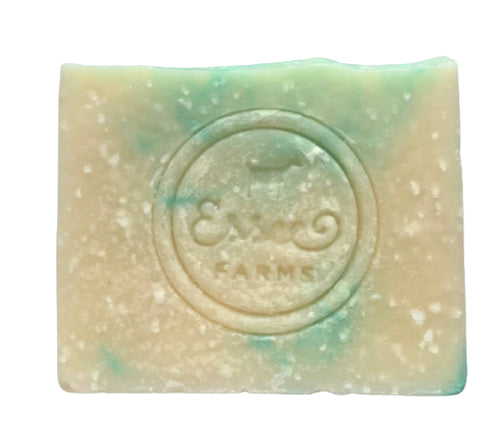 Mint Tea Tree Dead Sea Salt Bar Soap