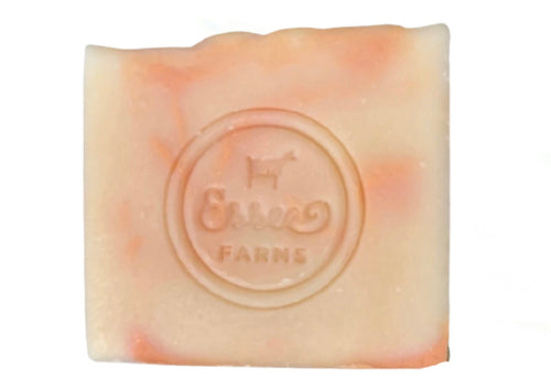 Orange Eucalyptus Bar Soap