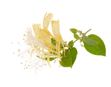 Load image into Gallery viewer, Pure Essential Oil Body Spray Spritzer